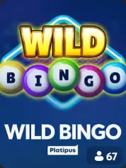 Wild Bingo BC Game Costa Rica game cover