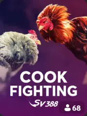 Cock Fighting BC Game Costa Rica game cover